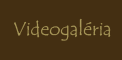 Videogalria